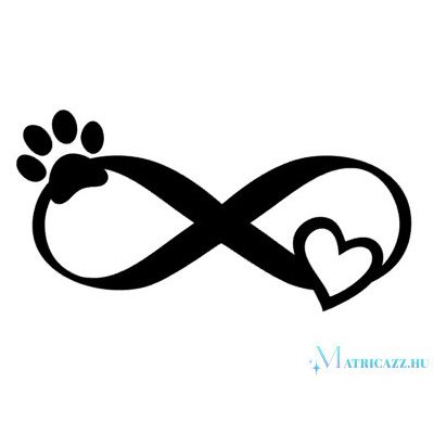 Border collie matrica 3