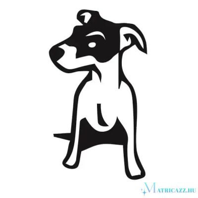 Jack russel terrier matrica 3