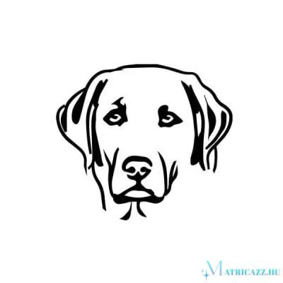 Labrador matrica 13