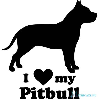 Pitbull matrica 13