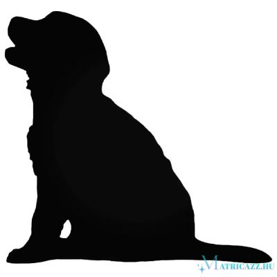 Kölyök Golden Retriever matrica