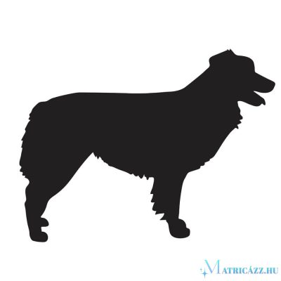 Ausztrál juhászkutya matrica 1