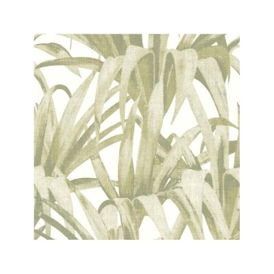 Botany - Esotica tapéta 15525