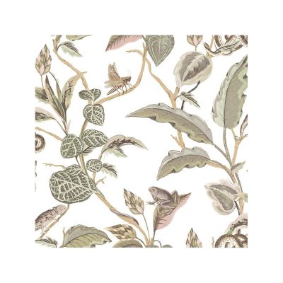 Botany - Botanica tapéta 15507