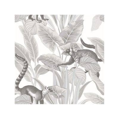 Botany - Lemuri tapéta 15531