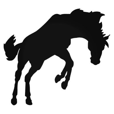 Vad ló autómatrica