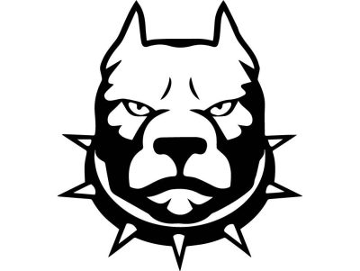 Mérges Pitbull fej matrica
