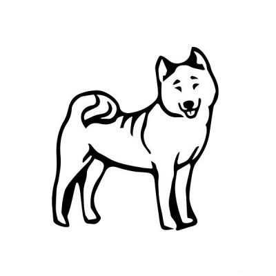 Akita 1 matrica 