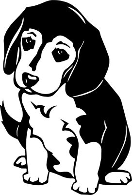 Beagle 2 matrica 