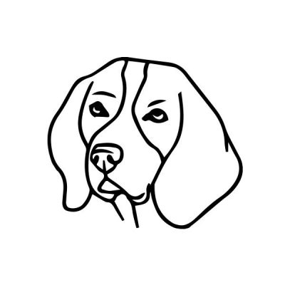 Beagle 5 matrica 