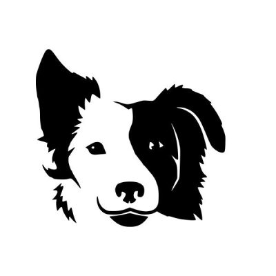 Border Collie 2 matrica 