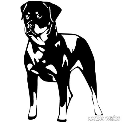 Rottweiler autómatrica