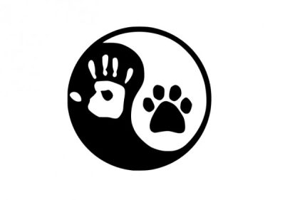Vizsla matrica 11