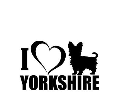 Yorki matrica 5