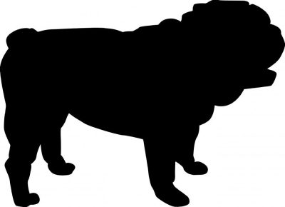 Angol bulldog 3 matrica 