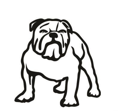 Angol bulldog 13 matrica 