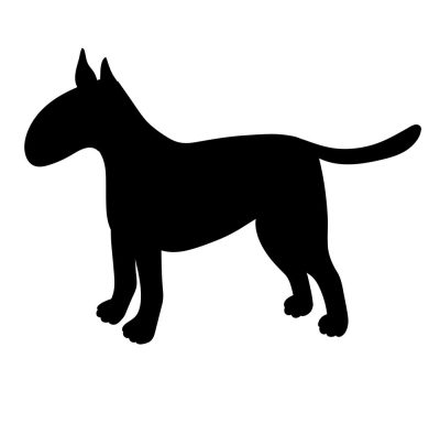 Bullterrier matrica 11