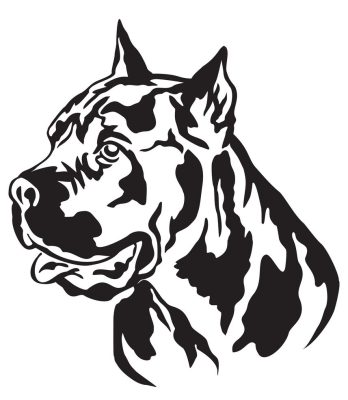Cane corso matrica 9