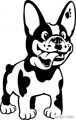 Francia bulldog matrica 20