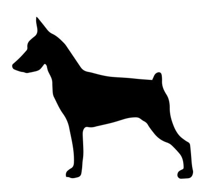Pincser matrica 11