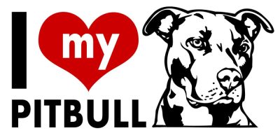Pitbull matrica 8
