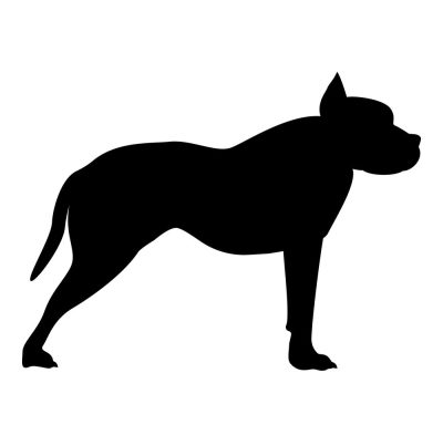 Pitbull matrica 10