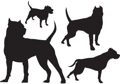 Pitbull matrica szett