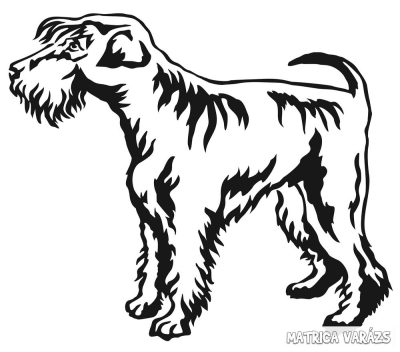 Schnauzer matrica 8
