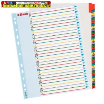 Esselte 100210 újraírható regiszter, A4, 1-31 részes