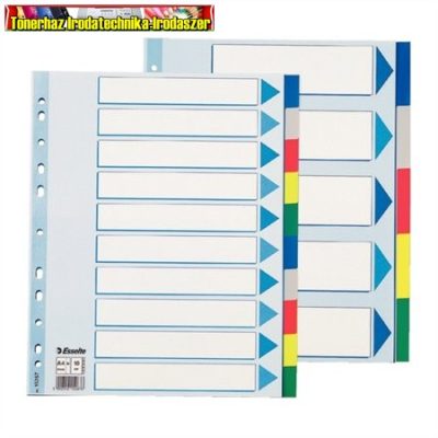 Regiszter, műanyag, A4 Maxi, 10 részes, ESSELTE 15267 ( elválasztó) 