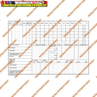 Személyi nyilvántartó tasak 320x220 mm B.Váll.11. PÁTRIA