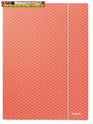 ESSELTE Colour'Breeze, gumis mappa, karton, A4, választható színben (A/4)
