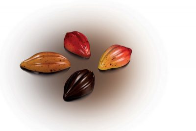 Bonbon csokoládéforma (MA1018), 275x175 mm, polikarbonát