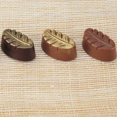 Bonbon csokoládéforma (MA1032), 275x175 mm, polikarbonát