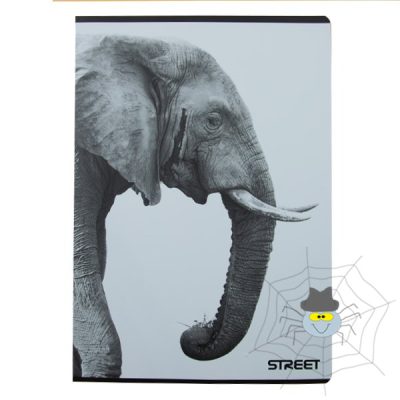 Füzet STREET Safari A/4 54 lapos kockás