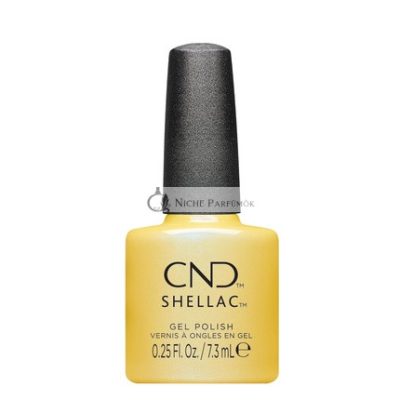 Shellac Char-Truth #466