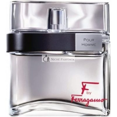 F by Salvatore Ferragamo Eau De Toilette Spray, 100ml