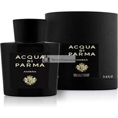 Acqua Di Parma Ambra Eau De Parfum Spray 100ml