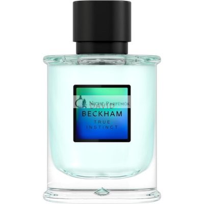 David Beckham True Instinct Eau de Parfum