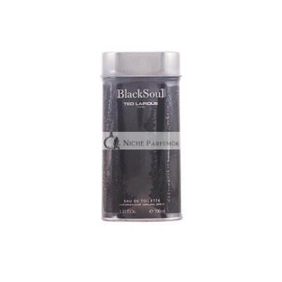 Black Soul by Ted Lapidus EDT Spray, 100 ml