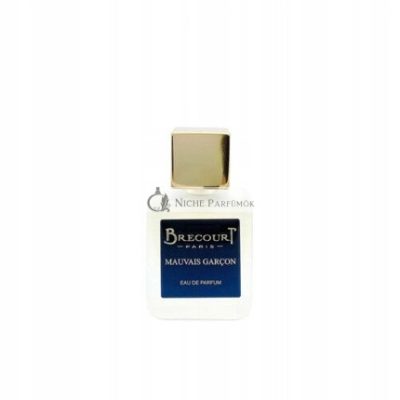 Brecourt Bad Boy Eau De Parfum, 50ml