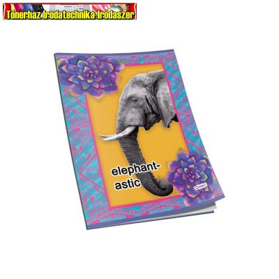 Füzet A4, 40 lap, kockás 80g. papír, glitteres Connect (A4) ( 87-40) (87-32) - ELEPHANT -