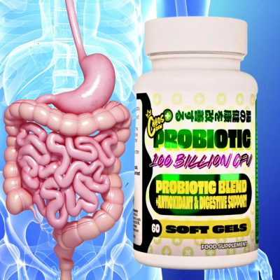 PROBIOTIC 100 BILLION CFU™ - Megadózisú Probiotikum - Hozzáadott Emésztőenzimek, Prebiotikum, Bioflavonoidok - 60 Napra - 60 Kapszula