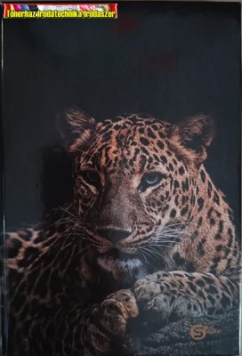 Beíró A5 96 lap kemény fedelű kockás füzet (S-line) - Leopárd -