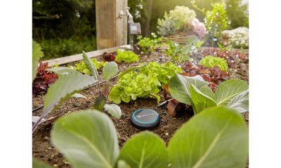 Talajnedvesség-érzékelő