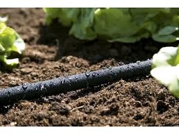 Gyöngyözőcső 7,5 m