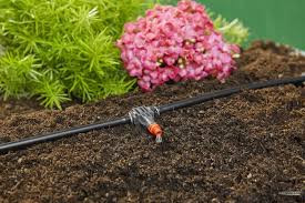 MD sorcsepegtető 2 l/h (10 db)