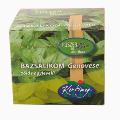 Fűszernev.készlet Bazsalikom zöld/Doboz