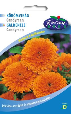 B. Körömvirág Candyman 2g