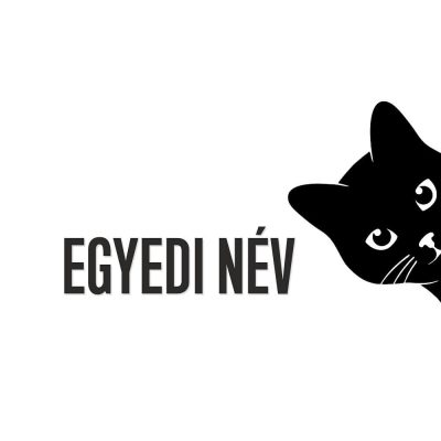 Egyedi cicás matrica